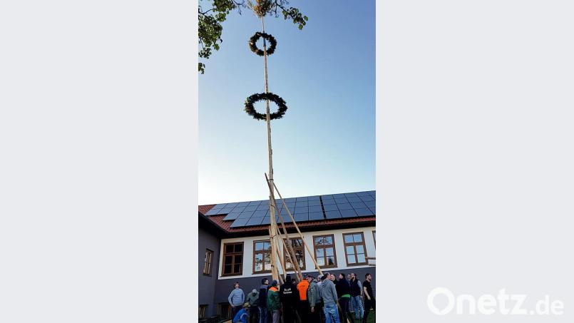 Weit ragt der Maibaum in Letzau in den Frühlingshimmel. Bild: zer