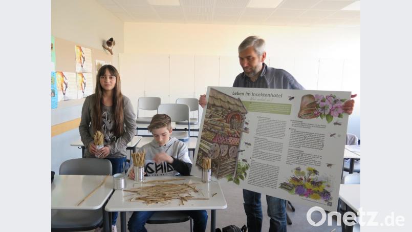 14 Nisthilfen für Wildbienen bastelte Jürgen Holl mit interessierten Schülern. Bild: jzk