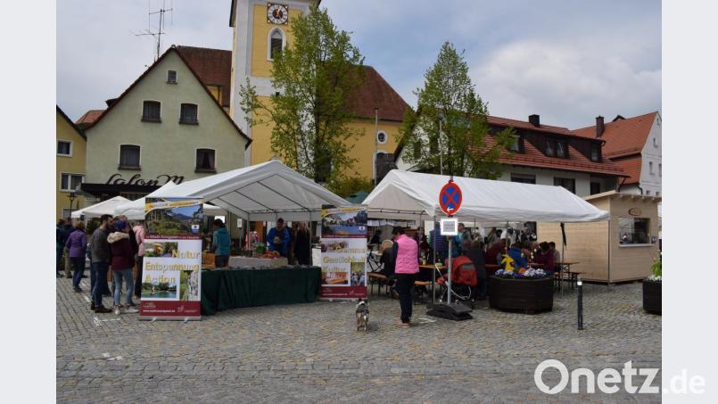 Großen Anklang fand der &quot;Markt der Genüsse&quot; am 1. Mai am Königsteiner Marktplatz. Bild: wku
