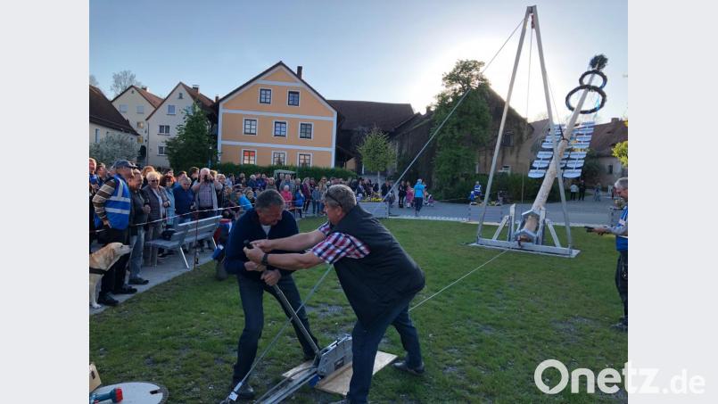 Die Seilwindenkonstruktion ermöglicht eine besondere Art, den Maibaum aufzustellen, aber Kraft und Schweiß braucht es trotzdem. Bild: wlr