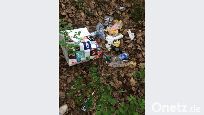 Illegal entsorgter Müll auf dem Mariahilfberg. Bild: exb