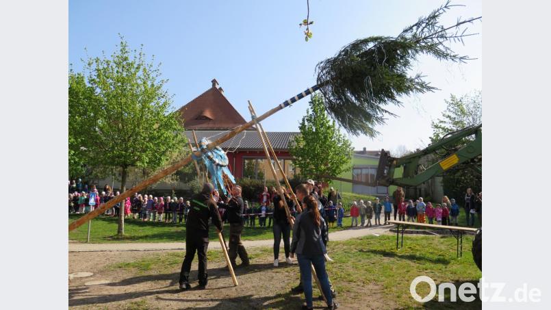 Lautstark unterstützen die Mädchen und Buben die Burschen und Madln bei ihrer Arbeit. Bild: jzk