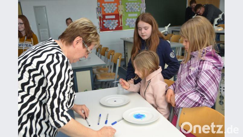 Von wegen trockene Lerninhalte - an der Realschule in Vohenstrauß ist für die Schüler mächtig was geboten. Besucher bekommen einen Einblick, wie abwechslungsreich heute unterrichtet wird. Schulhaus wird zum Bienenstock. Bild: dob