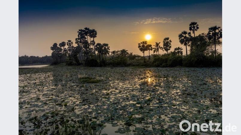 Abendstimmung in Indien. Bild: exb/Christian Höllerer