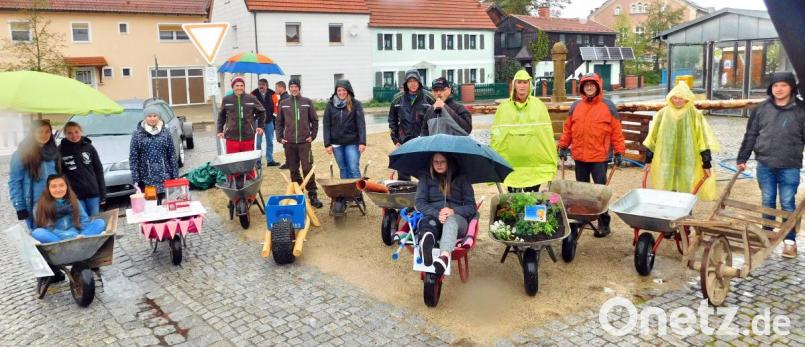 Nicht ganz so viele Schubkarren- und Rowernbesitzer wie in den Vorjahren finden sich diesmal zum Umzug durch Alt-Speichersdorf ein. Dafür sind ihre Gestaltungsideen umso ausgefallener. Bild: hai