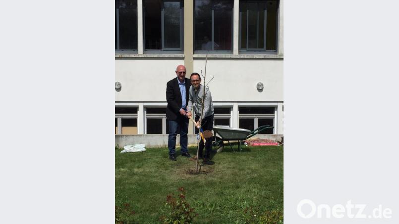 Die beiden Schulleiter, Anton Hochberger (links) und Jean-Yves Charbonneau, pflanzen im Park des Lycées einen bayerischen Apfelbaum. Bild: exb