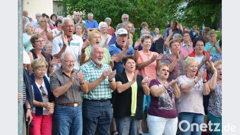 Begeistert gehen die Zuhörer bei den Sommerserenaden im Stadtpark mit. Im vergangenen Jahr waren die meisten Konzerte gut besucht. Archivbild: dob