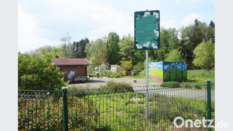 30 Parzellen zählt der Interkulturelle Garten, den es seit 2011 im Stockerhutweg gibt. Bild: Gabi Schönberger