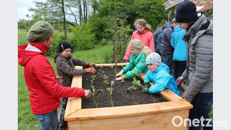 Zweite Vorsitzende Katharina Hage (links) pflanzt mit den Kindern und Jugendlichen das neue Hochbeet an. Bild: rpp