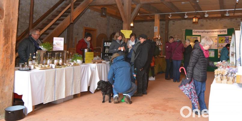 Bei einem warmen, wohltuenden Frühlingstrunk mit Ingwer und Zitrone konnten sich die Besucher aufwärmen. Bild: Freya Stöckl