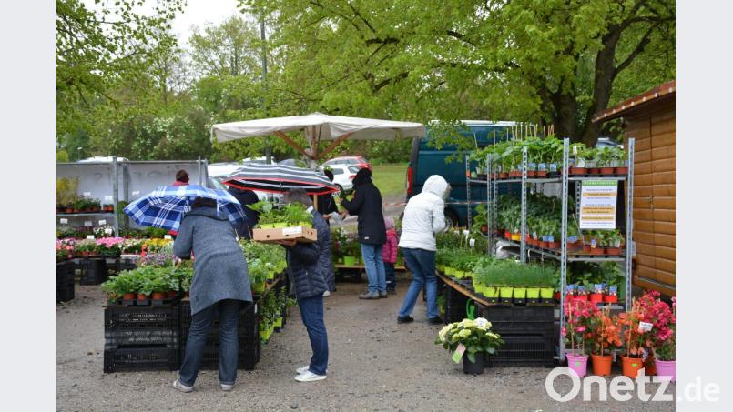 "Auf Regen folgt Sonnenschein" mag sich der ein oder andere Besucher in weiser Voraussicht auf sonnigere Tage gedacht haben. Viele Pflanzensetzlinge und bunte Blumen fanden trotz des regnerischen Wetters ihre Käufer. Bild: Freya Stöckl