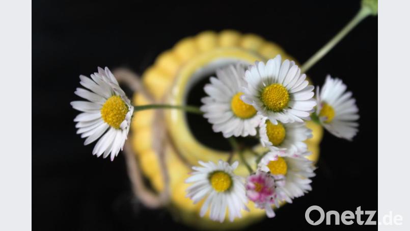 Der Muttertag 2019 naht. OWZ-Leserinnen und -Leser erzählen, wie sie diesen Tag feiern. Bild: mvs