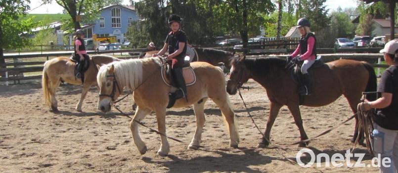 Sicherlich tägliches Highlight: die Reitstunden. Bild: exb