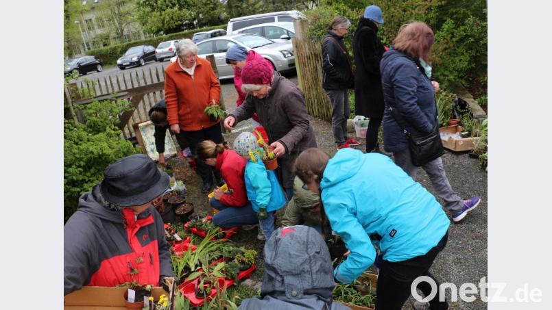 Reges Treiben herrscht um die Pflanzen, gab es doch viele interessante Exemplare zum Tauschen. Bild: rpp