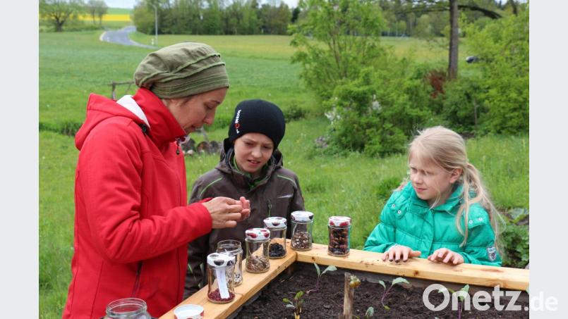 Katharina Hage (links) zeigt den Kindern die unterschiedlichen Bohnensamen. Bild: rpp