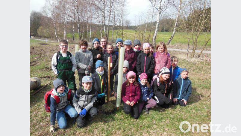 Die Schüler der Grundschule Winklarn-Thanstein in ihrem Schulwald. Bild: exb