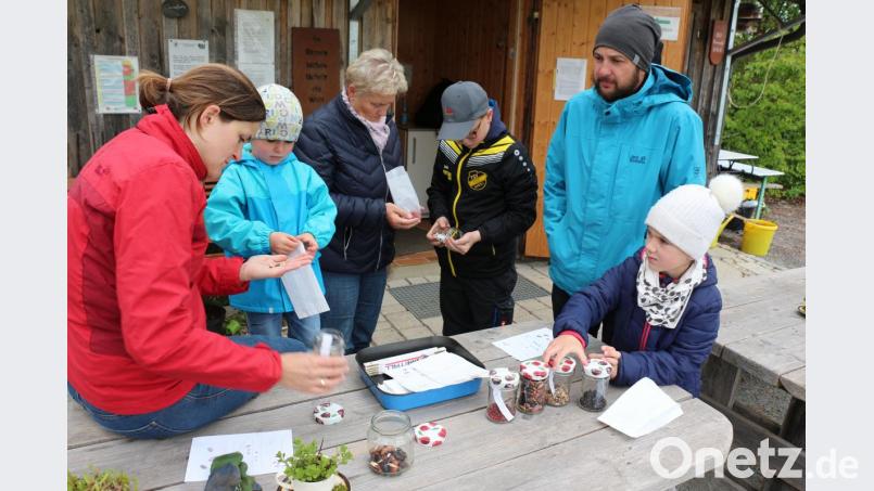 Jedes Kind darf sich eine Tüte mit unterschiedlichen Bohnensamen für Zuhause zusammenstellen. Bild: rpp