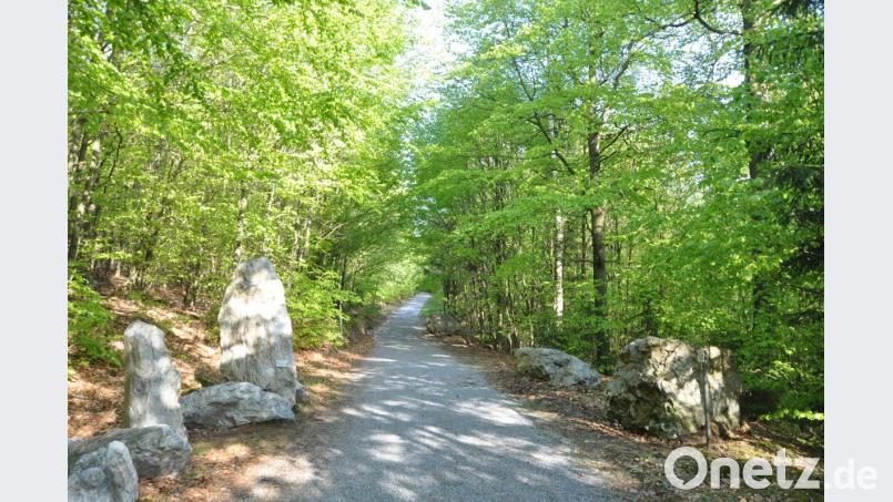 Der geologische Lehrpfad in Tännesberg lädt im Frühling zu einem besonders reizvollen Spaziergang ein. Bild: es