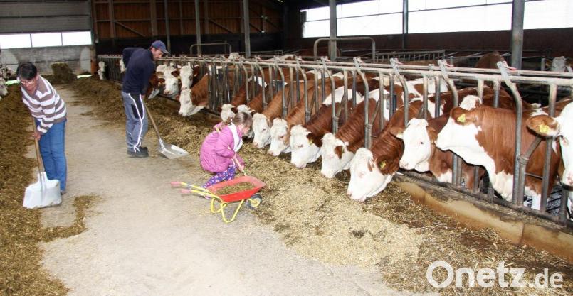 Mutter Gabi und Sohn Michael Eichenseher bei der täglichen Stallarbeit am Schimlmühlhof. Ein kleiner Feriengast hilft auch mit. Bild: wro