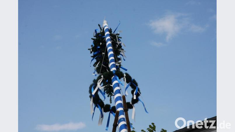 Damit konnte keiner rechnen. Plötzlich machte sich die Maibaumspitze selbständig. Bild: wro