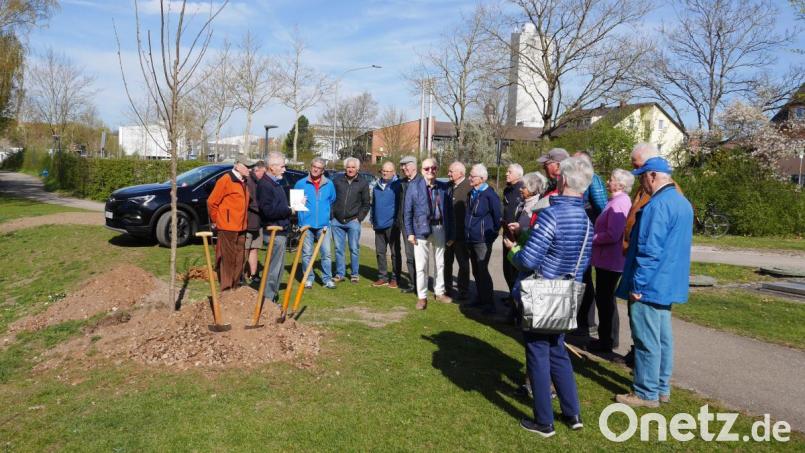 Die Amberger Sektion des Bayerischen Wald-Vereins wird 90 Jahre alt. Vorsitzender Rudolf Maier (Dritter von links) und einige Mitglieder pflanzen deswegen am Schanzl-Steg eine Flatter-Ulme. Bild: Bayerischer Waldverein/exb