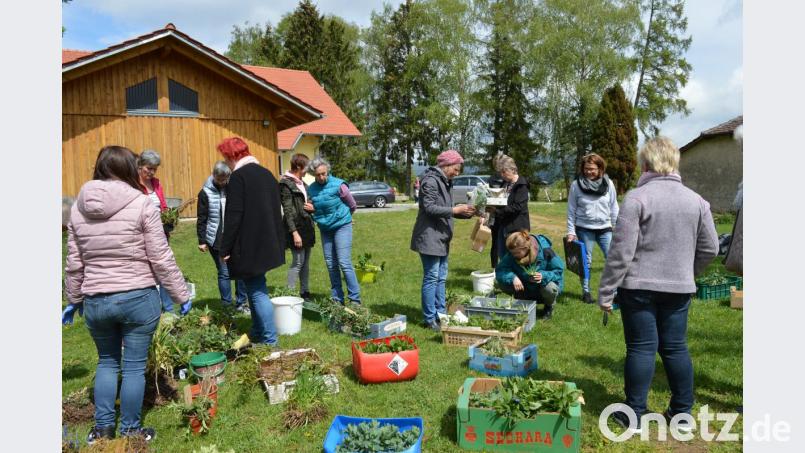 Bei einem großen Angebot an Pflanzen, Blumen und Co. wurde jeder fündig und konnte sich nebenbei wertvolle Tipps holen. Bild: bej