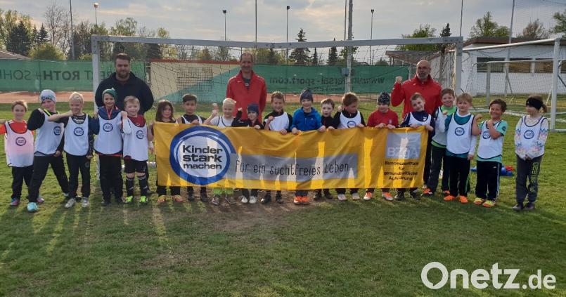 Die F-Junioren des ATSV Tirschenreuth Bild: hä