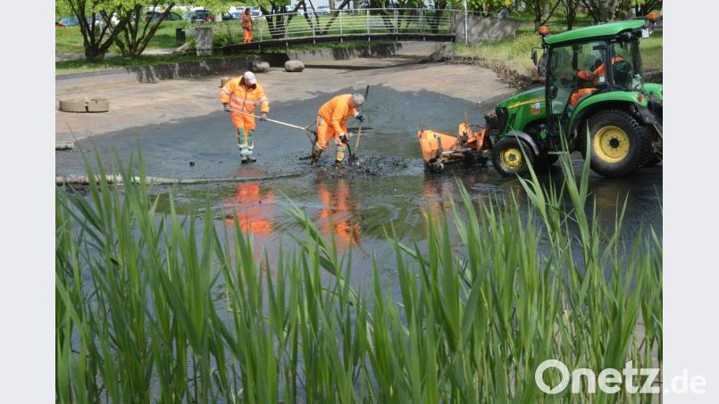 Mitarbeiter des städtischen Bauhofs reinigen den Fischteich bei der Max-Reger-Halle. Bild: Gabi Schönberger
