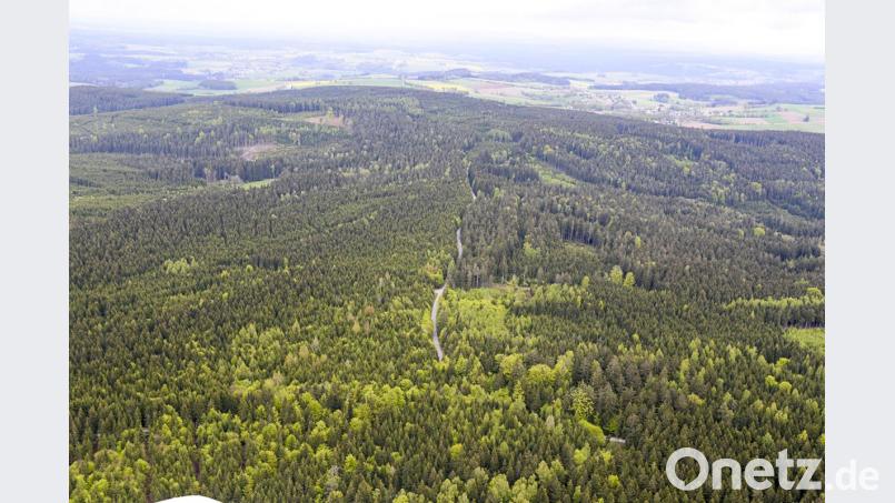 Noch überragen keine Windräder den Hessenreuther Wald. Windmessungen haben allerdings ergeben, dass dort solche Anlagen sehr wirtschaftlich betrieben werden könnten. Das Bild zeigt den Blick über den Höhenzug in Richtung Wildenreuth. Bild: mür