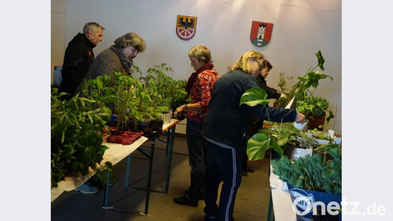 Trotz des winterlichen Wetters verlief der Staudentausch des Obst- und Gartenbauverein Leutendorf erfolgreich. Das Vereinsteam zog kurzerhand in die Halle um. Bild: abi