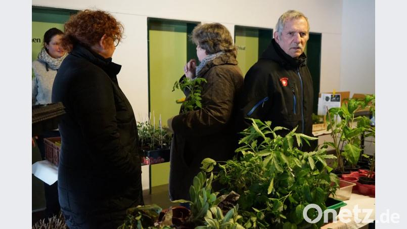 Trotz des winterlichen Wetters verlief der Staudentausch des Obst- und Gartenbauverein Leutendorf erfolgreich. Das Vereinsteam zog kurzerhand in die Halle um. Bild: abi