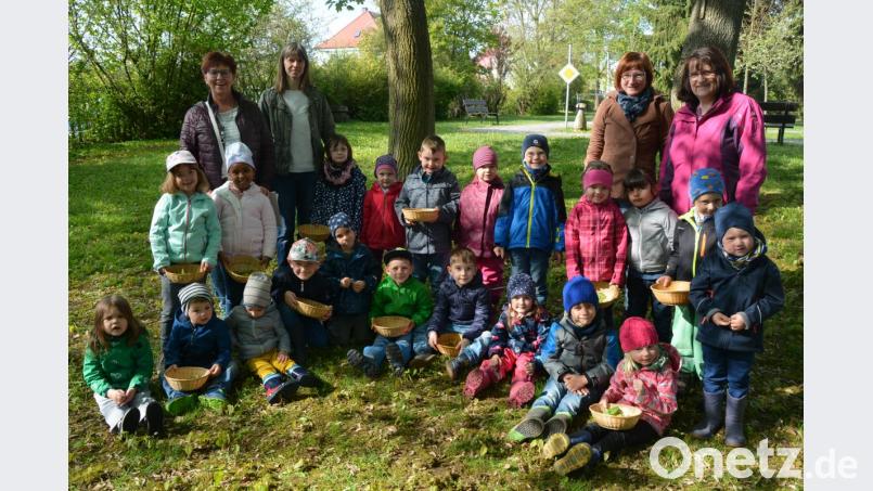Die beiden Kräuterführerinnen Petra Stark und Christine Brückner (von links) brachten im Rahmen einer Kräuterwanderung den Kindern der „Löwengruppe“ die Kräuter näher. Höhepunkt war die Herstellung eines Kräuterlimos, das gleich an Ort und Stelle genossen wurde. Begleitet wurden die Kinder von Klara Bäcker und Ramona Zeitler (von rechts) vom Kinderhausteam. Bild: jr