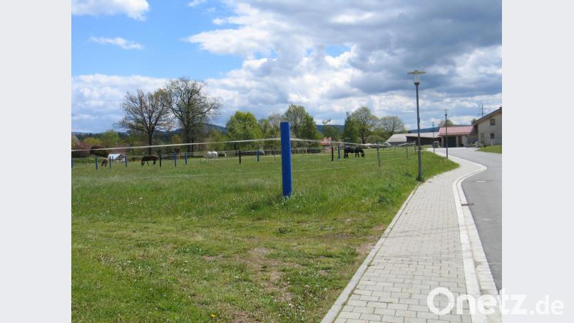 Die weitere Erschließung des Baugebiets Steinäcker wird blockiert. Grund soll die von der Unteren Immissionsschutzbehörde geforderte Auflage sein, eine Pferdekoppel mit einer drei Meter breiten Hecke einzugrünen. Bild: bkr