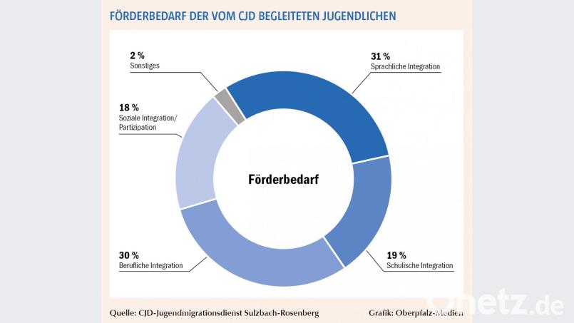 Bei der sprachlichen und beruflichen Integration liegt der höchste Förderbedarf. Grafik: Oberpfalz-Medien