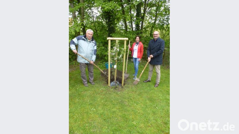 Der Gartenbauverein hat Bäume spendiert, die auf dem Gelände des Kindergartens gepflanzt wurden. Bürgermeister Maximilian Beer (rechts) griff zum Spaten. Bild: mad