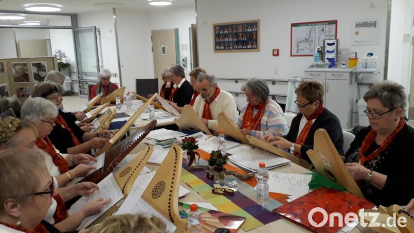 Die sanften Klänge des Veeh-Harfen-Ensembles der Musikschule Neustadt/WN sind für die Schwerkranken in der Weidener Palliativstation ein besonderer Hoffnungsstrahl. Bild: kwl