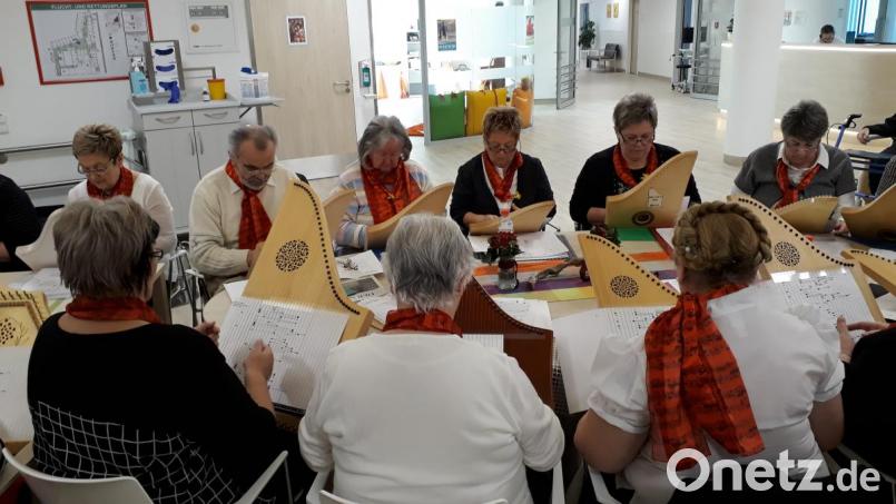 Die sanften Klänge des Veeh-Harfen-Ensembles der Musikschule Neustadt/WN sind für die Schwerkranken in der Weidener Palliativstation ein besonderer Hoffnungsstrahl. Bild: kwl