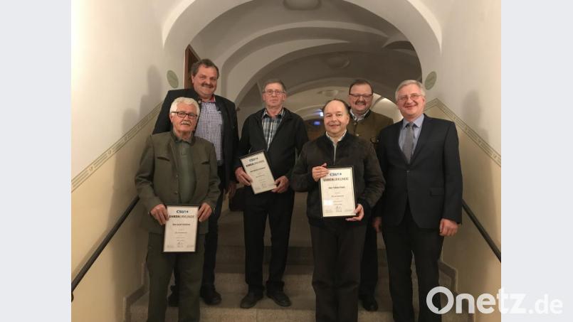 Treue Mitglieder der CSU Bärnau wurden geehrt (von links): Josef Gleißner (25 Jahre), Vorsitzender Michael Schedl, Herbert Schabner (30 Jahre), Tobias Franz (20 Jahre), Bürgermeister Alfred Stier und stellvertretender Kreisvorsitzender Johannes Reger. Bild: rdh