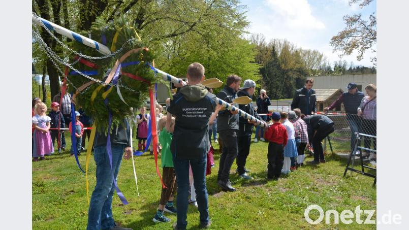 Schnell war der Maibaum in der Höhe, wenn alle mit anpacken geht es zügiger. Bild: jr