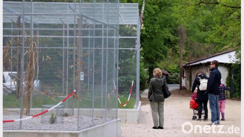 Die neuen Vogel-Volieren in der Höllohe werden Ende nächster Woche der Öffentlichkeit vorgestellt. Zu den Pfauen, Fasanen und Störchen kommen dann auch noch zwei Schnee-Eulen, die von einem anderen Park in die Oberpfalz umziehen. Bild: Thomas Dobler