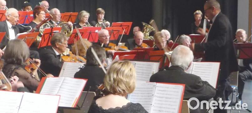 Das Orchester bzw. Teile davon während des Muttertagskonzerts des Salonorchesters Neustadt/WN Bild: fsb