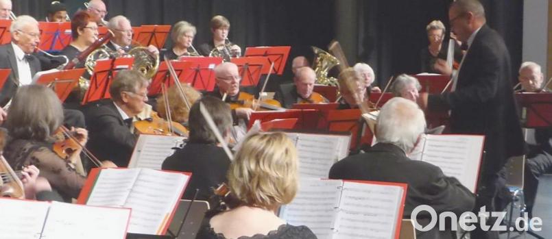 Das Orchester bzw. Teile davon während des Muttertagskonzerts des Salonorchesters Neustadt/WN Bild: fsb