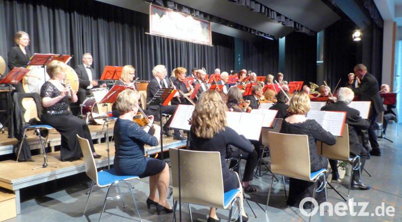 Das Orchester bzw. Teile davon während des Muttertagskonzerts des Salonorchesters Neustadt/WN Bild: fsb