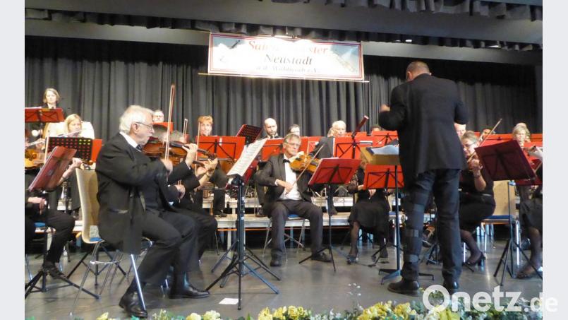 Das Orchester bzw. Teile davon während des Muttertagskonzerts des Salonorchesters Neustadt/WN Bild: fsb