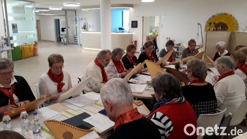 Die sanften Klänge des Veeh-Harfen-Ensembles der Musikschule Neustadt/WN sind für die Schwerkranken in der Weidener Palliativstation ein besonderer Hoffnungsstrahl. Bild: kwl
