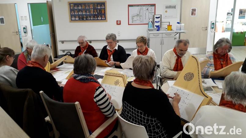 Die sanften Klänge des Veeh-Harfen-Ensembles der Musikschule Neustadt/WN sind für die Schwerkranken in der Weidener Palliativstation ein besonderer Hoffnungsstrahl. Bild: kwl