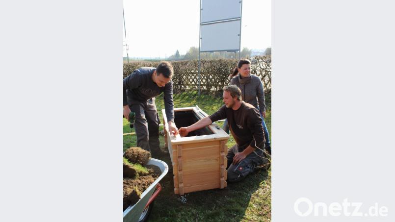Vom Schreiner des städtischen Bauhofs hatte man das Material für die drei Hochbeete bekommen. Nachdem die Bretter fachgerecht zusammengeschraubt und die Kästen zusammengebaut waren, wurden sie mit Gartenerde befüllt und mit Erdbeeren bepflanzt. Bild: u