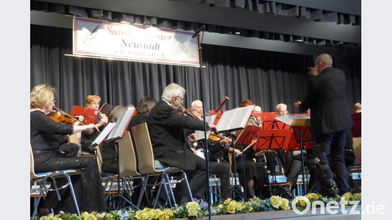 Das Orchester bzw. Teile davon während des Muttertagskonzerts des Salonorchesters Neustadt/WN Bild: fsb