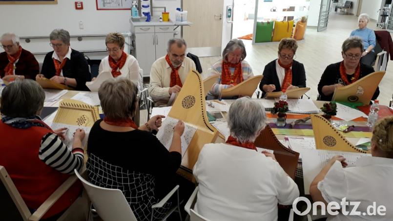 Die sanften Klänge des Veeh-Harfen-Ensembles der Musikschule Neustadt/WN sind für die Schwerkranken in der Weidener Palliativstation ein besonderer Hoffnungsstrahl. Bild: kwl