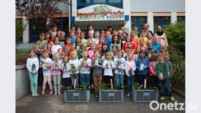 Mit Eifer und Spaß gehen die Grundschüler ans Werk. Was sie eigenhändig gepflanzt haben wird dann vor den Pfingstferien geerntet. Alle freuen sich schon auf das leckere Gemüsegericht, das daraus zubereitet wird. Bild: exb